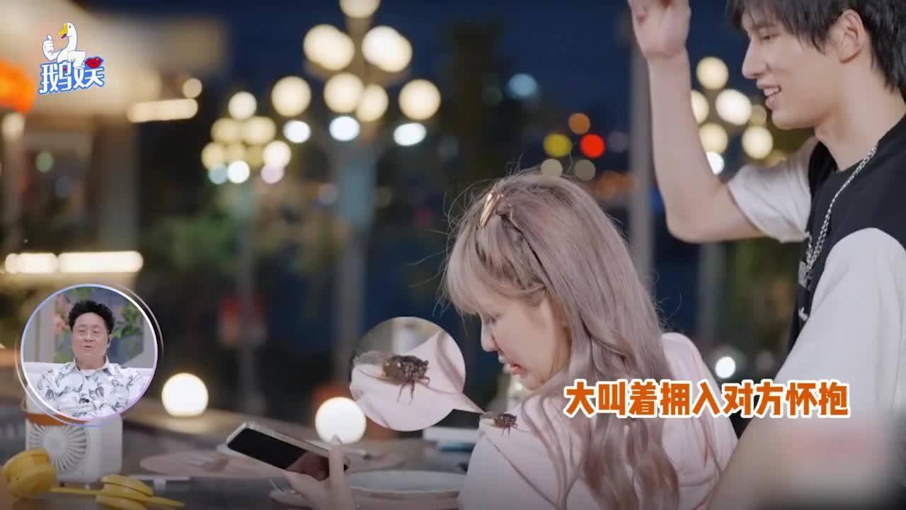 日式花园拼拼看